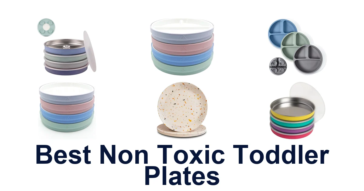 Best Non Toxic Toddler Plates: Top 10 Picks for Little Eaters