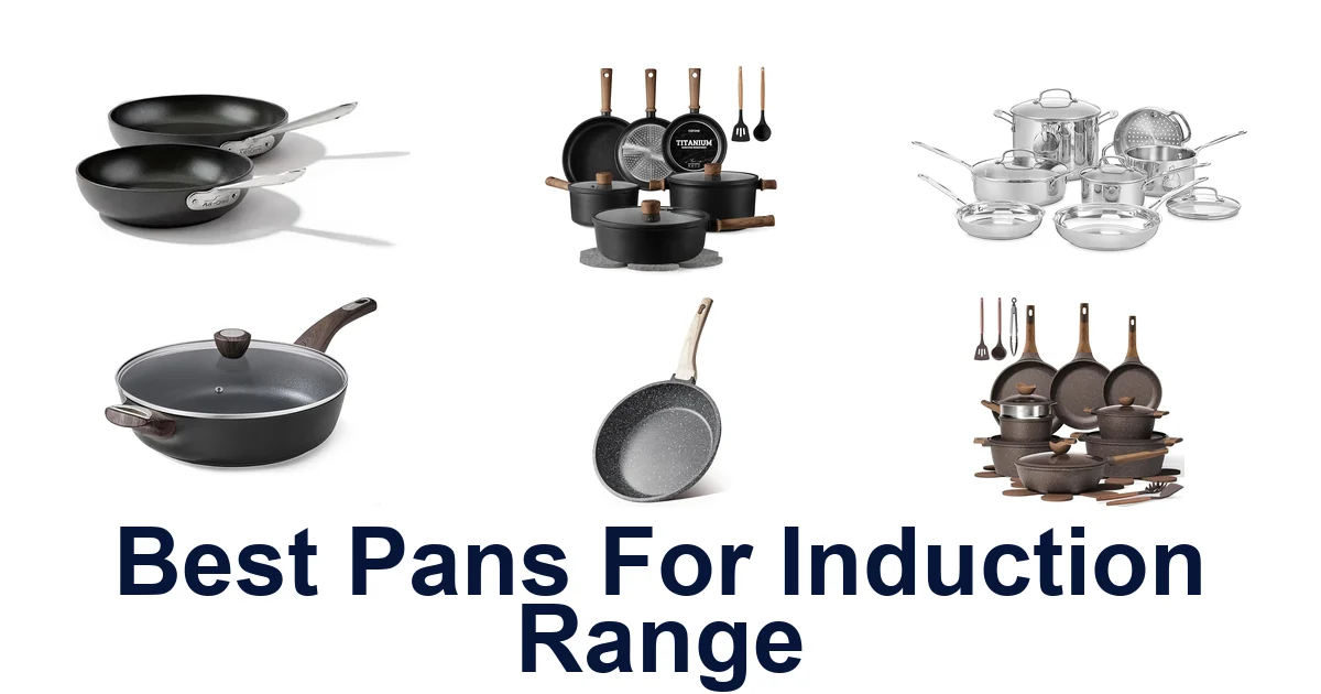 Best Pans for Induction Range: Top 10 Picks