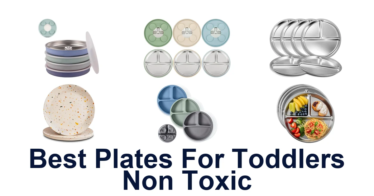 Best Non-Toxic Toddler Plates: Top 10 Picks