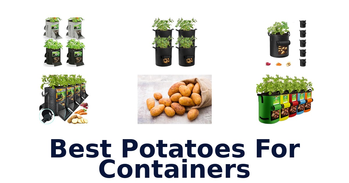 best potatoes for containers
