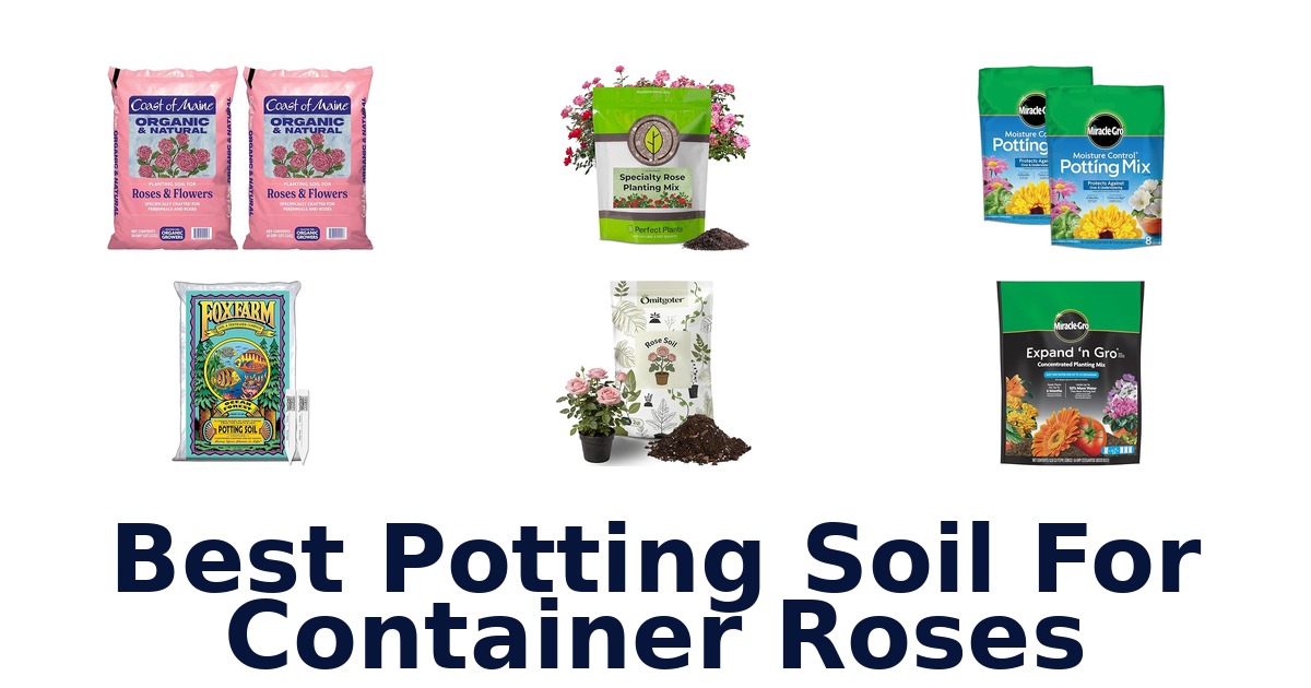 best potting soil for container roses