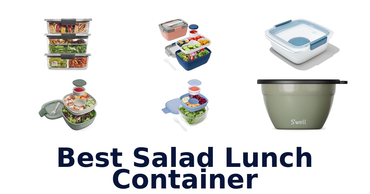best salad lunch container