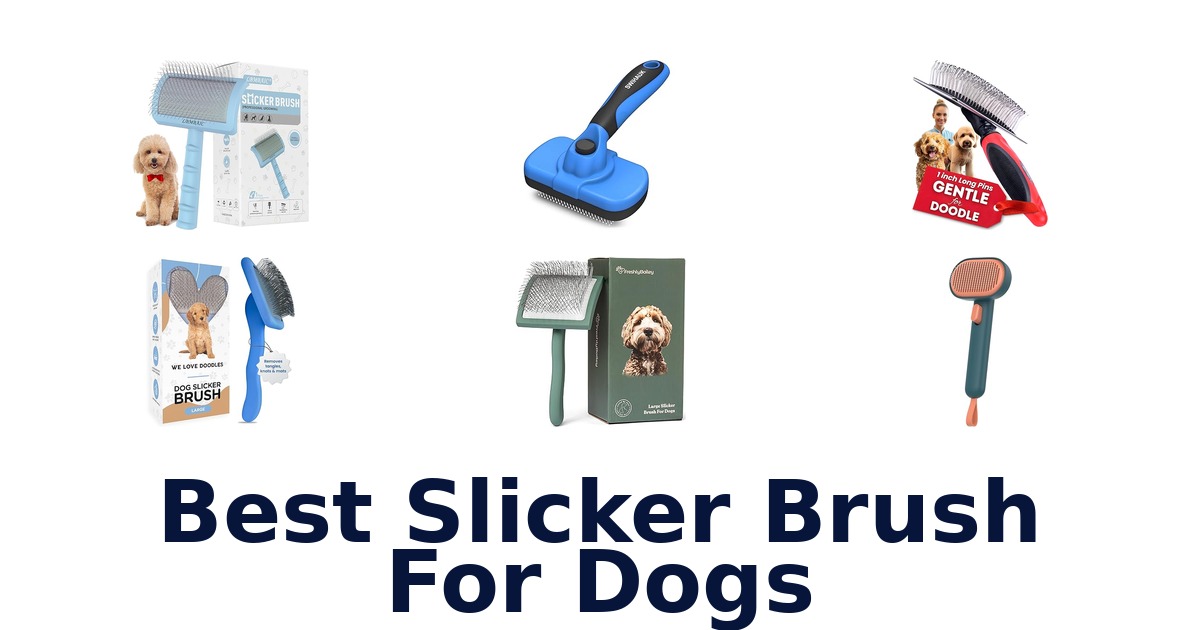 best slicker brush for dogs