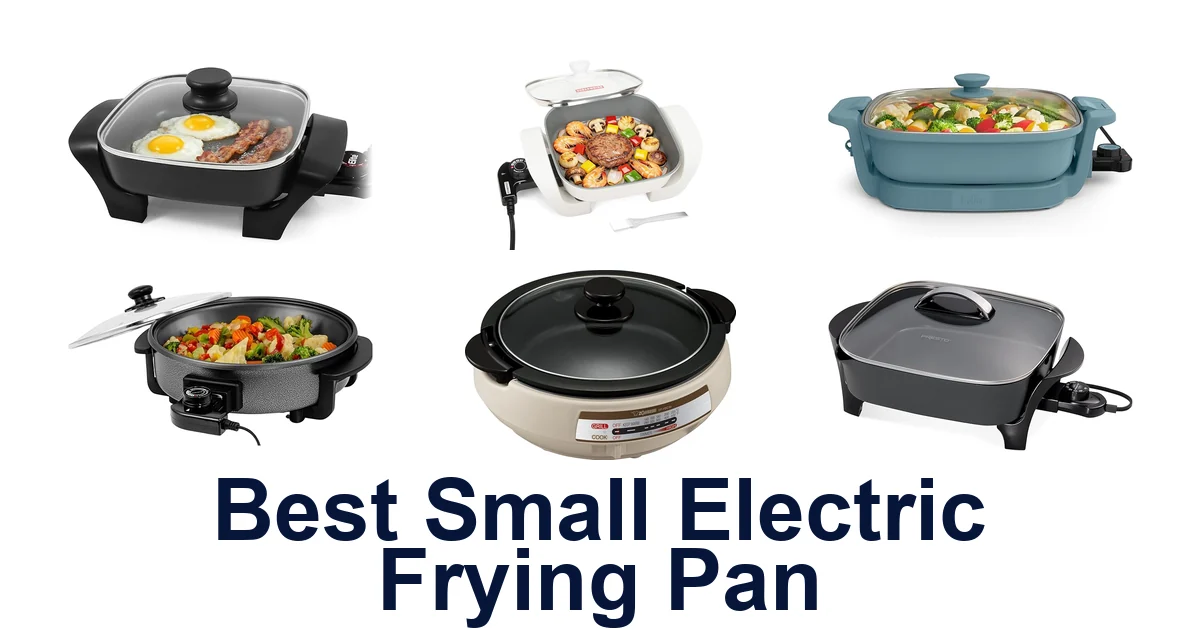 Best Small Electric Frying Pan Picks!