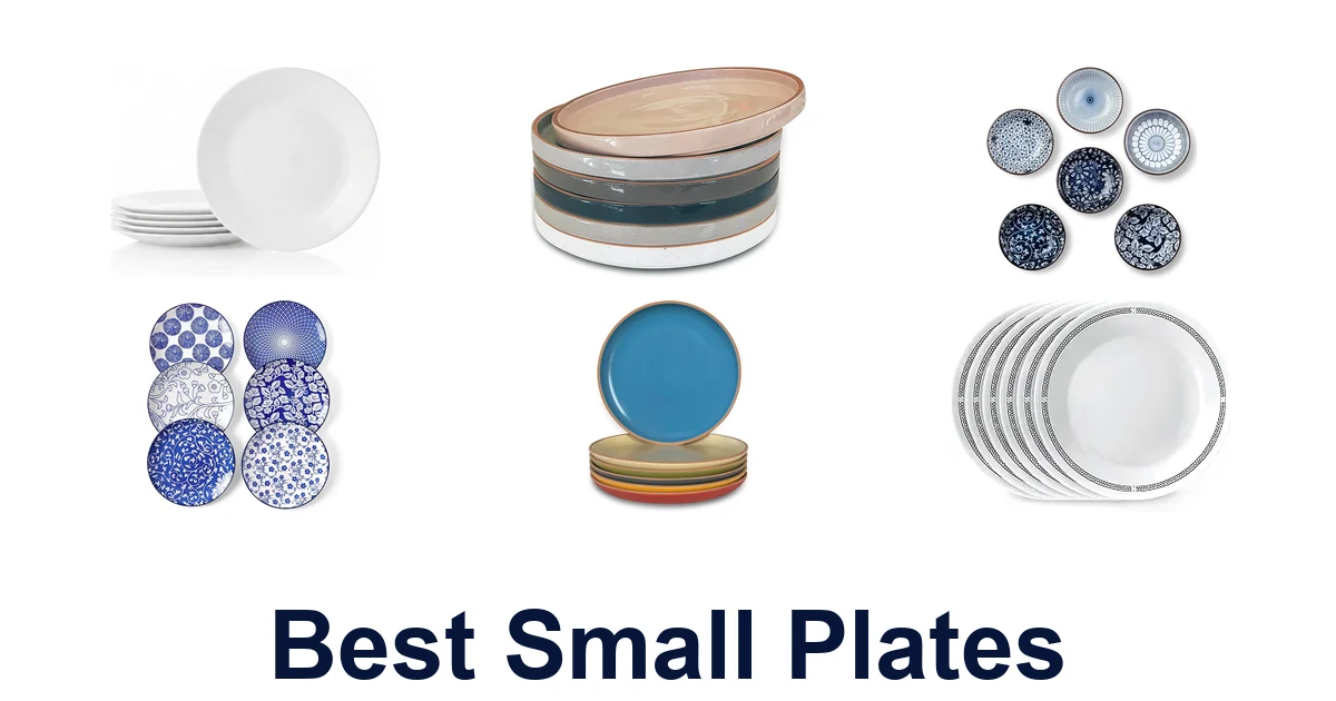BEST Small Plates: Top 10 Picks For Your Kitchen