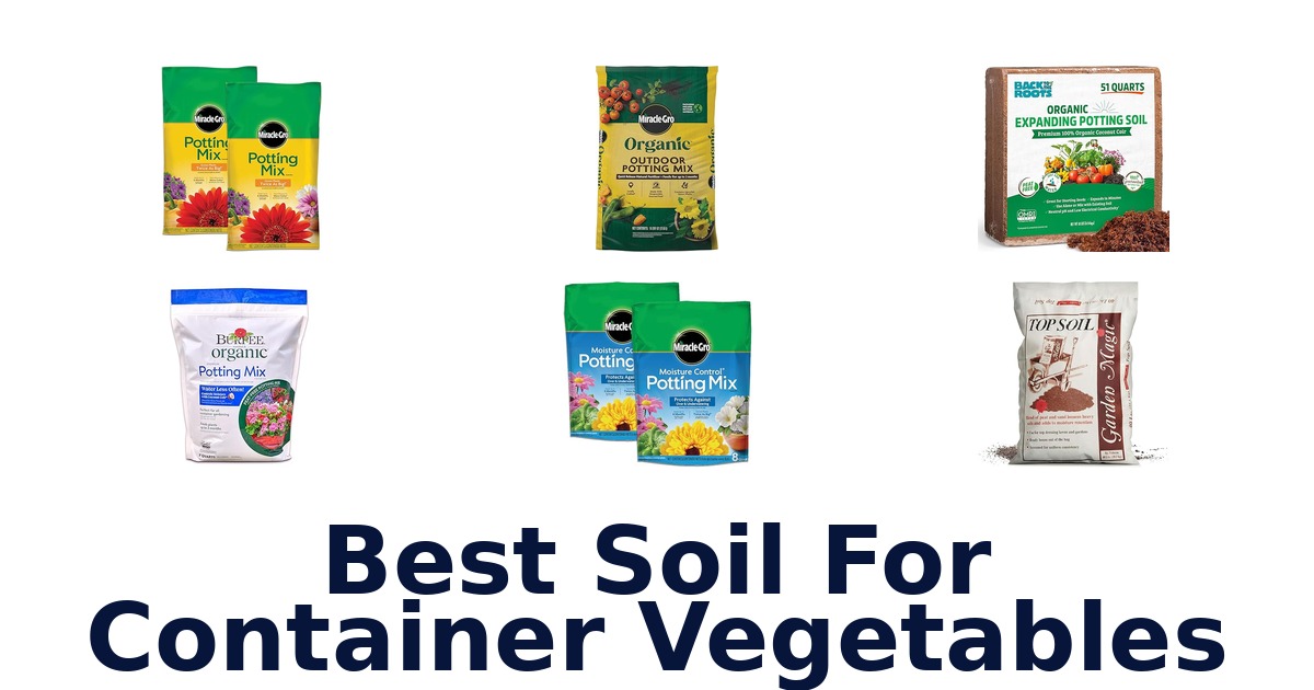 best soil for container vegetables