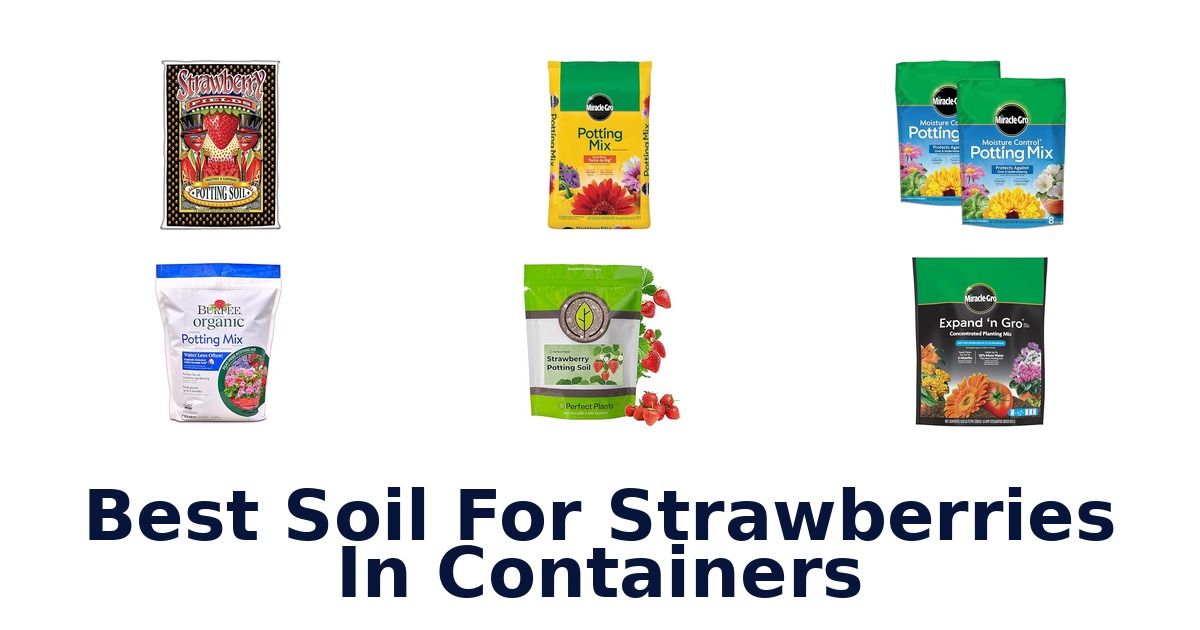 best soil for strawberries in containers