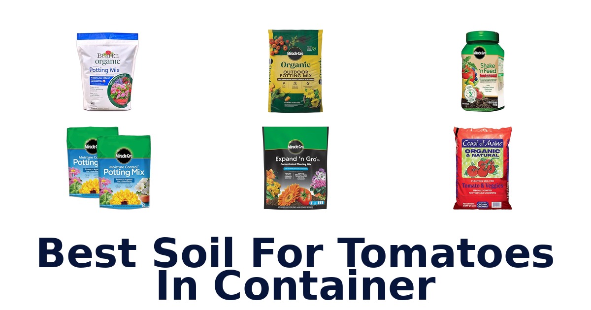 best soil for tomatoes in container