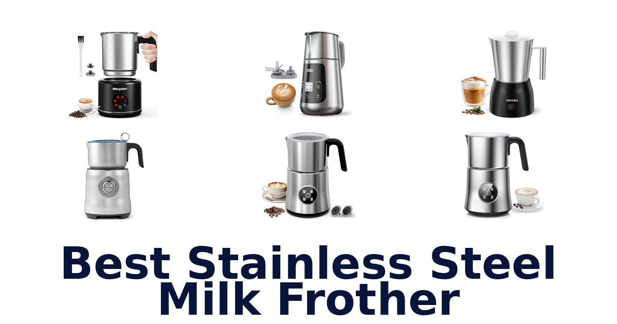 best stainless steel milk frother