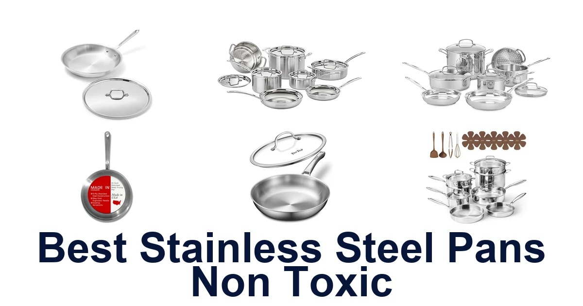 BEST Non-Toxic Stainless Steel Pans: Top 10 Picks