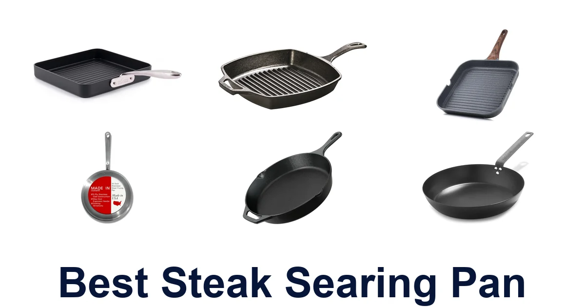 BEST Steak Searing Pans: Top 10 Picks For Perfect Crust