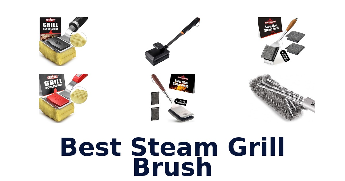 best steam grill brush