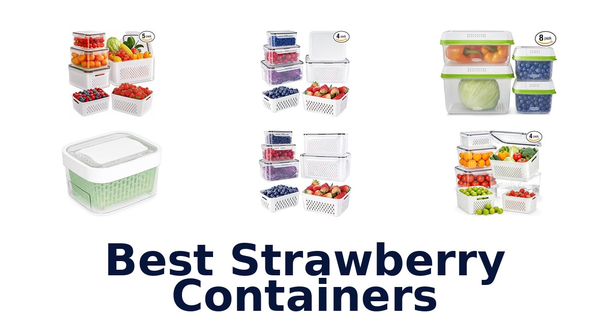 best strawberry containers