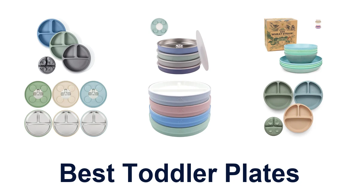 BEST Toddler Plates: Top 10 Picks for Mealtime Fun