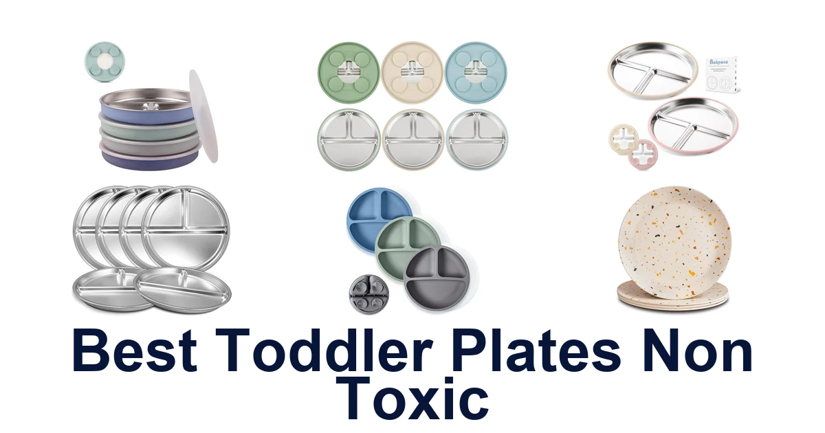 Best Non-Toxic Toddler Plates: Top 10 Picks 2026