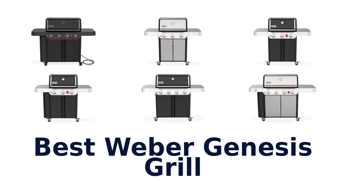 best weber genesis grill