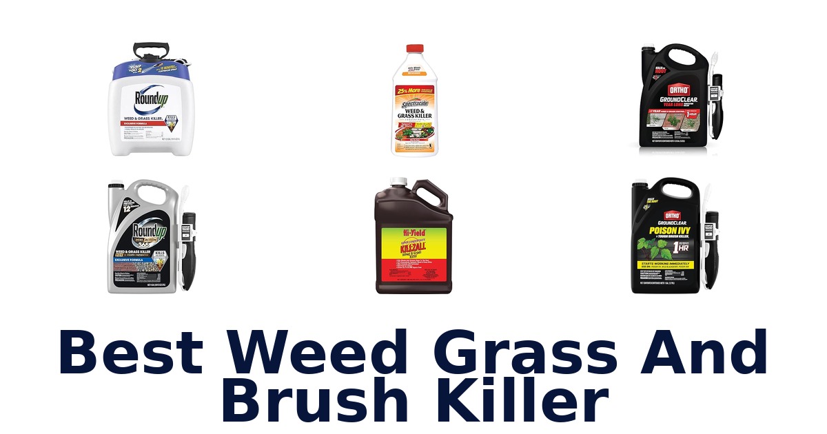 best weed grass and brush killer