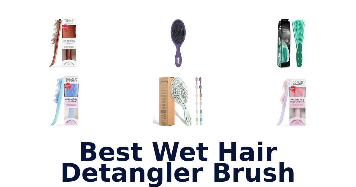 best wet hair detangler brush