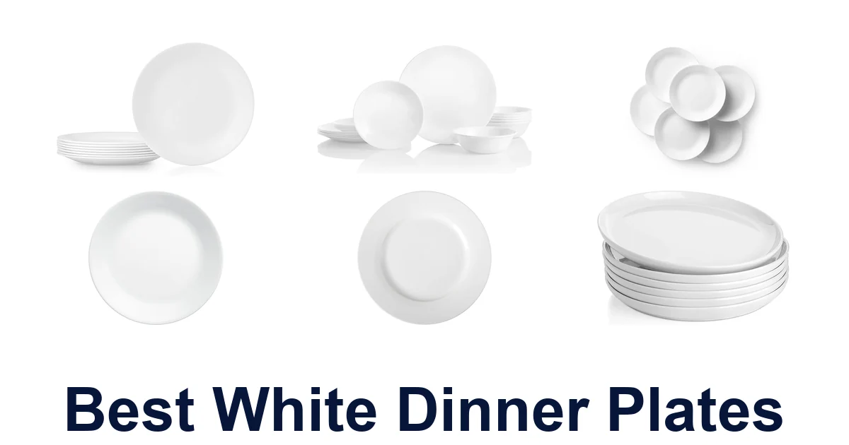 BEST White Dinner Plates: Top 10 Picks