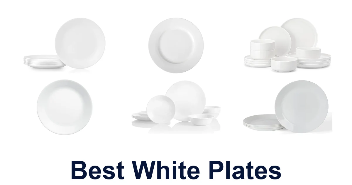 Best White Plates: Top 10 Elegant Picks