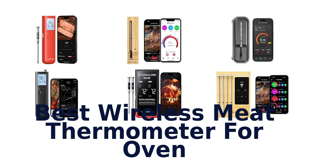 best wireless meat thermometer for oven