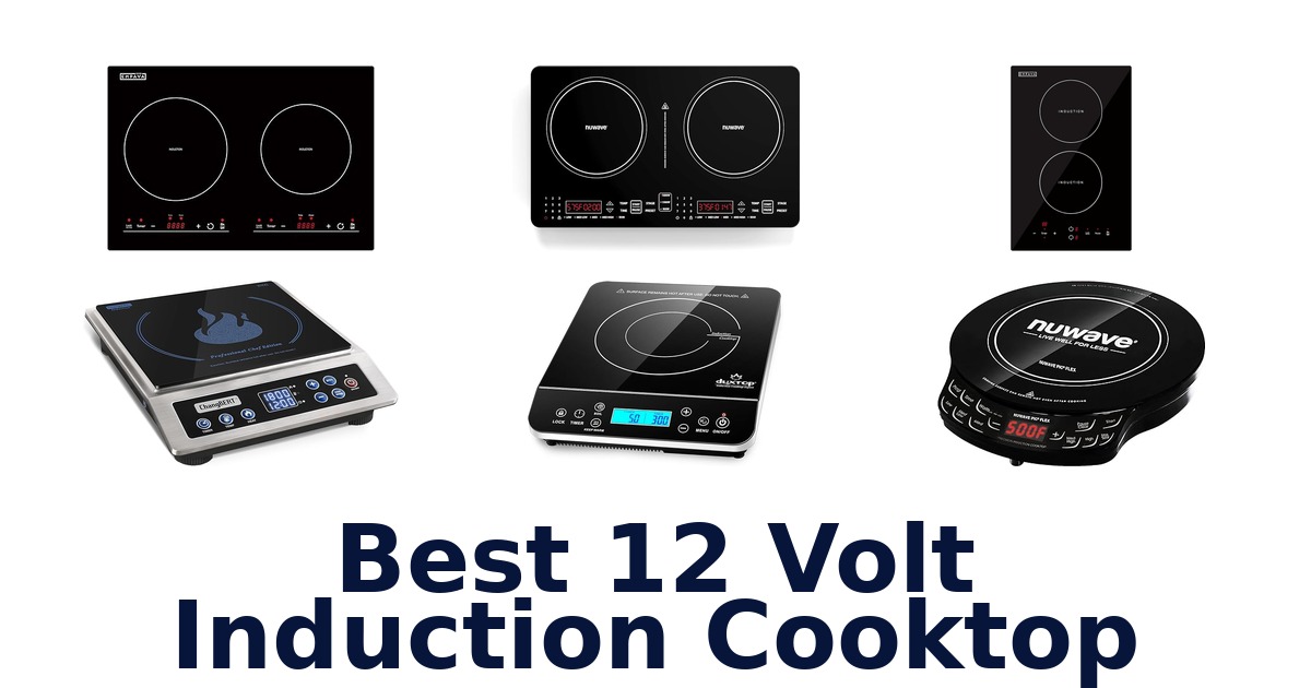 best 12 volt induction cooktop