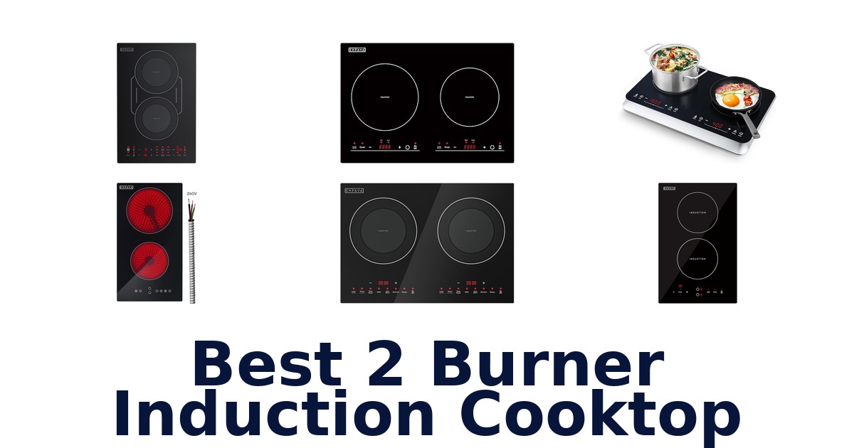 best 2 burner induction cooktop