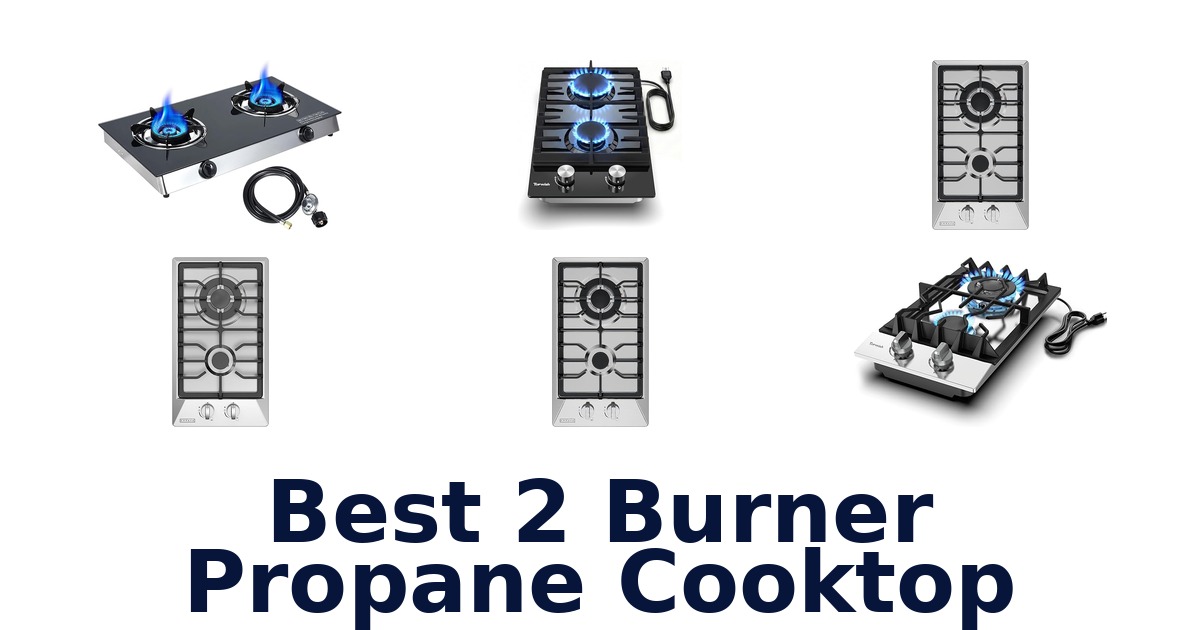 best 2 burner propane cooktop