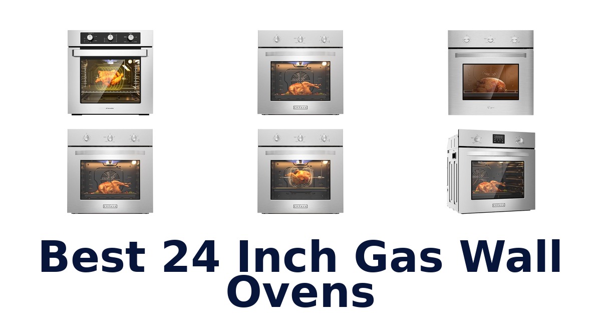 best 24 inch gas wall ovens
