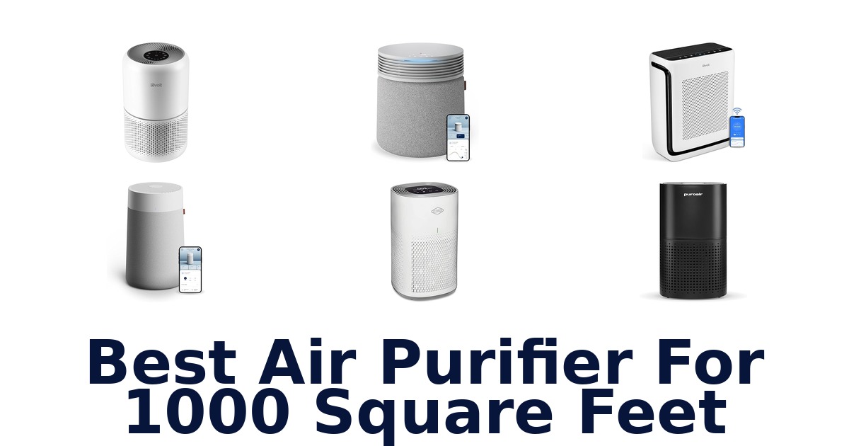 best air purifier for 1000 square feet