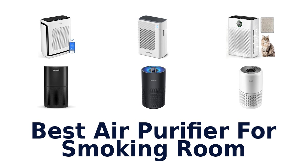 best air purifier for smoking room