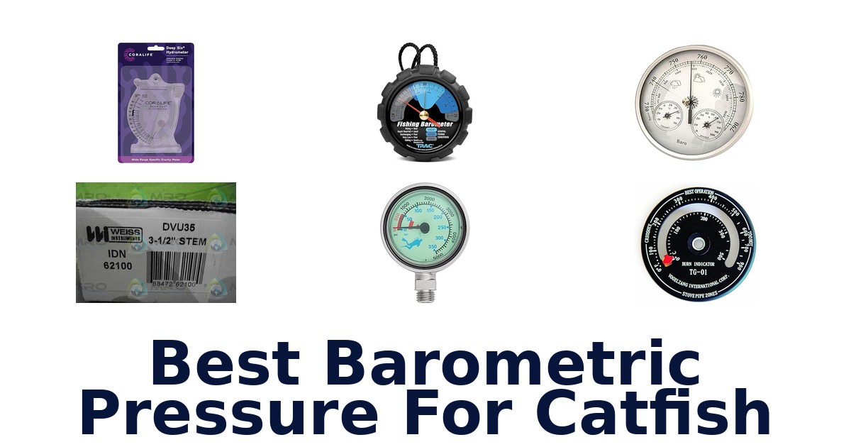 best barometric pressure for catfish