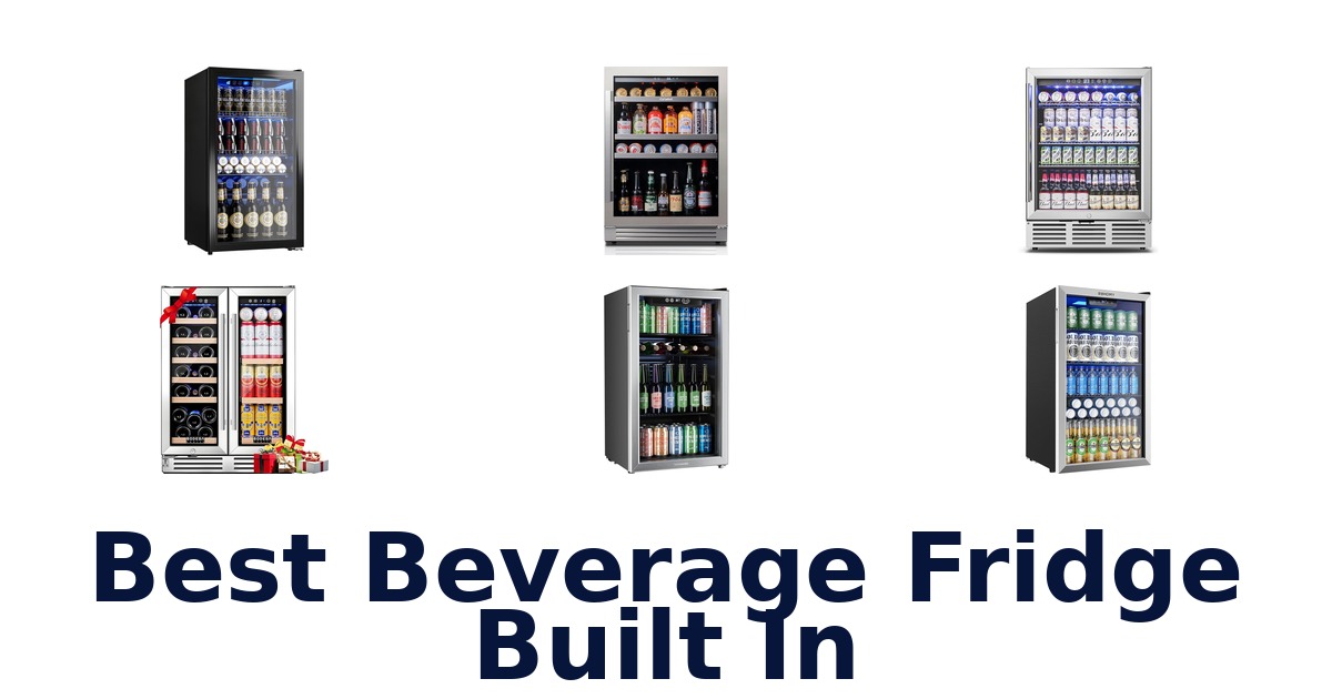 best beverage fridge built in
