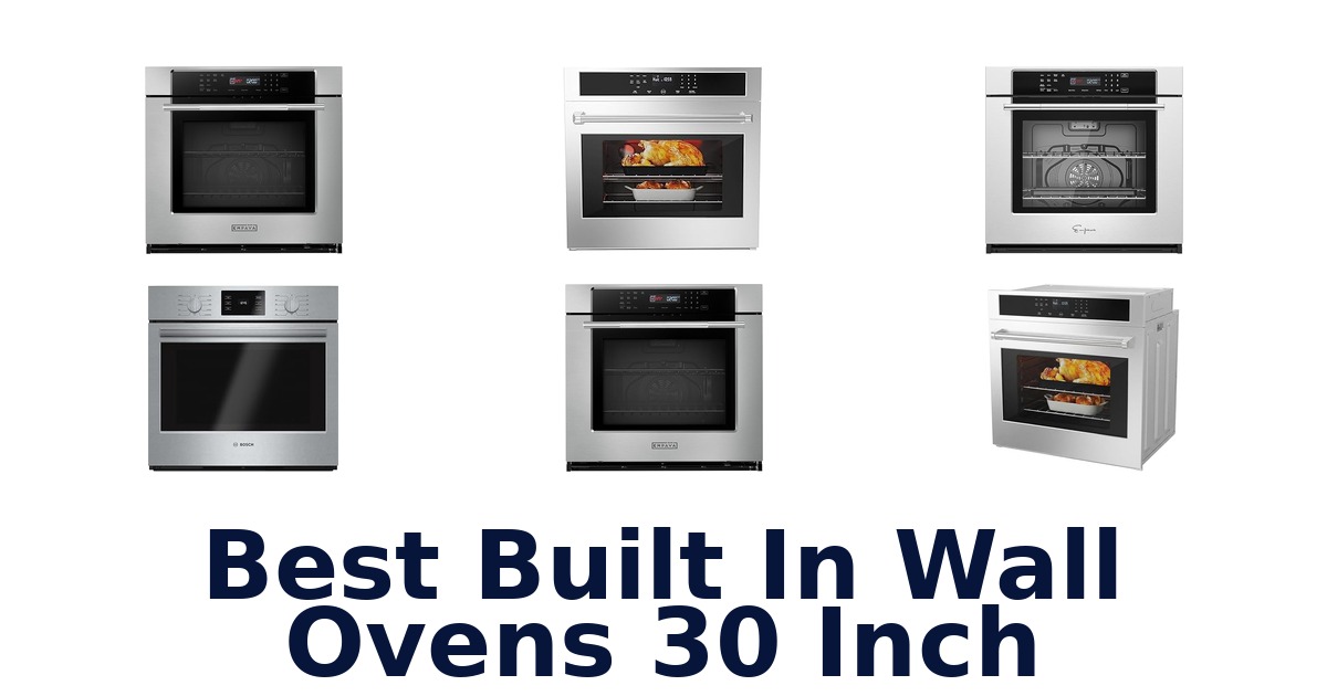 best built in wall ovens 30 inch