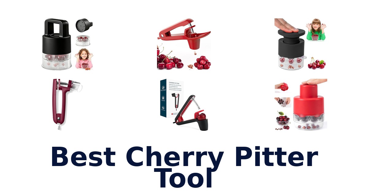 best cherry pitter tool