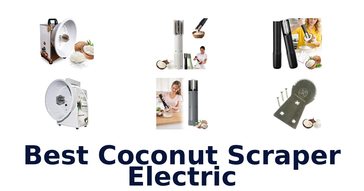 best coconut scraper electric