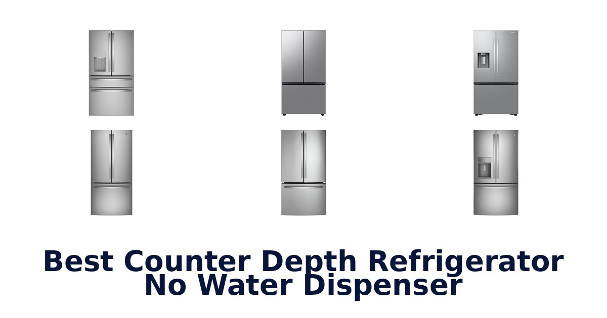 Best Counter Depth Fridge (No Water Dispenser)