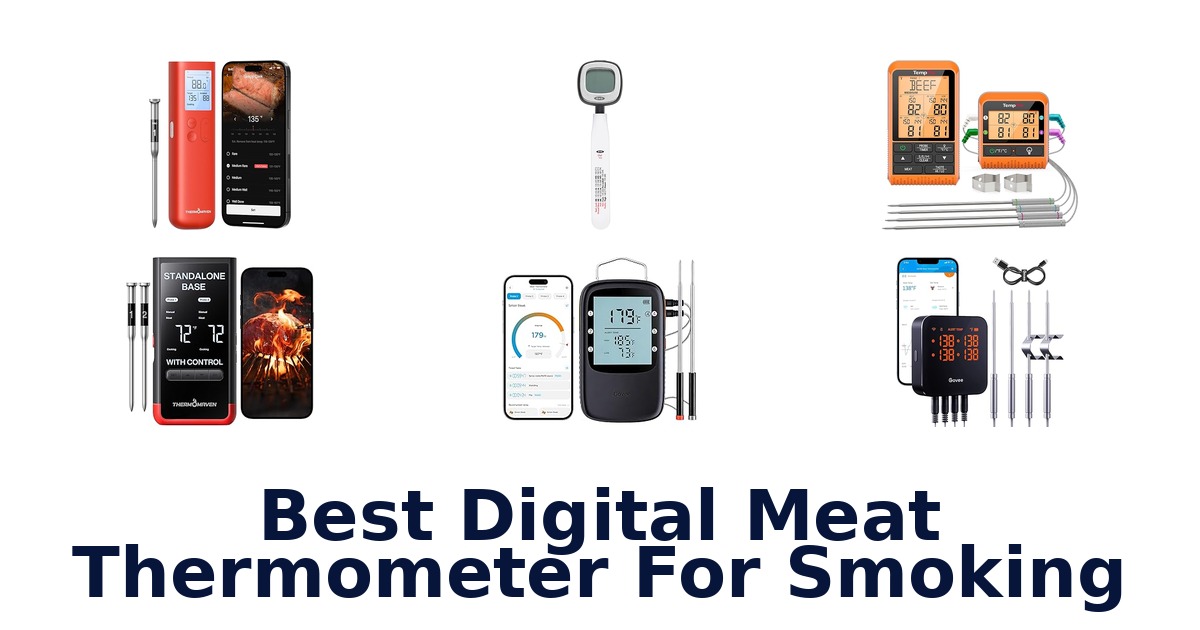 best digital meat thermometer for smoking