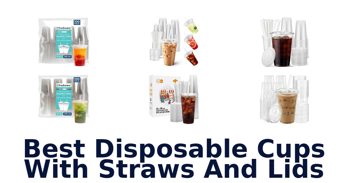 best disposable cups with straws and lids