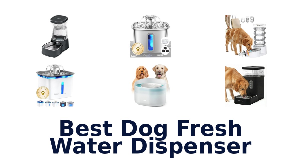 best dog fresh water dispenser