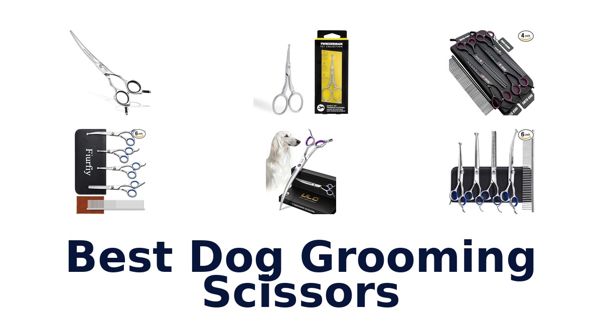best dog grooming scissors