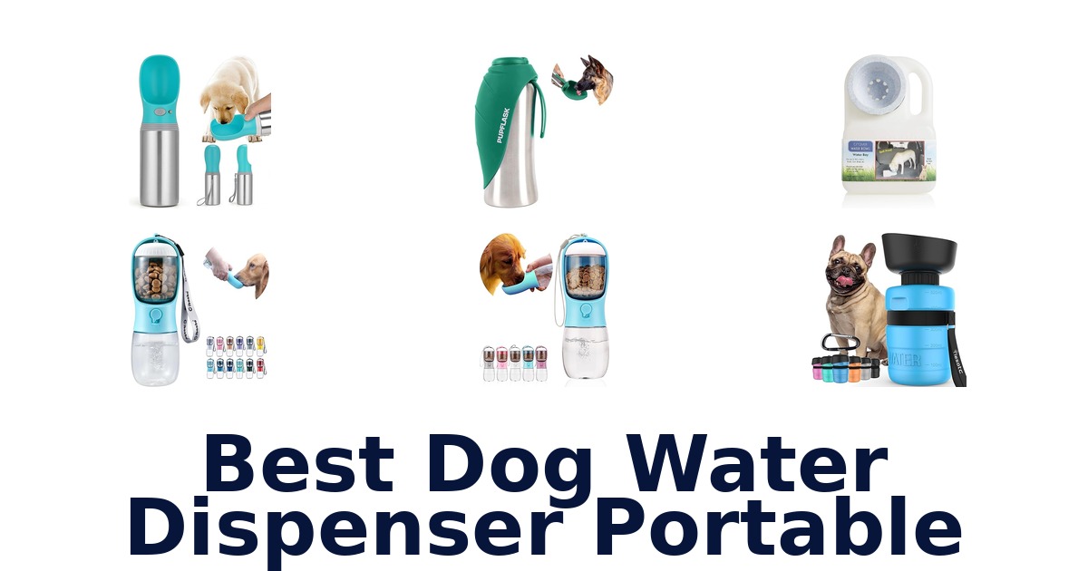best dog water dispenser portable