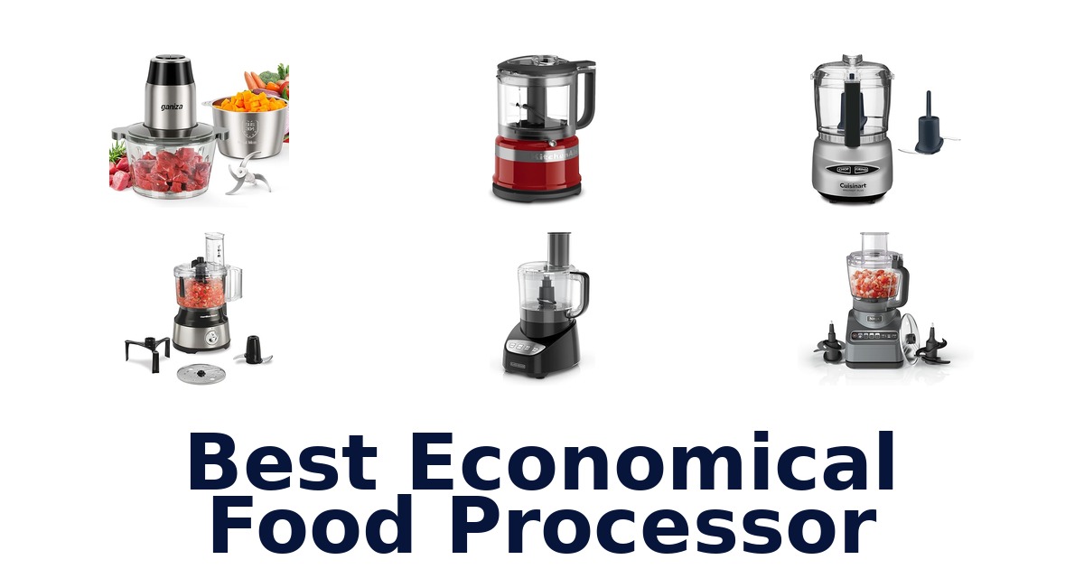 best economical food processor