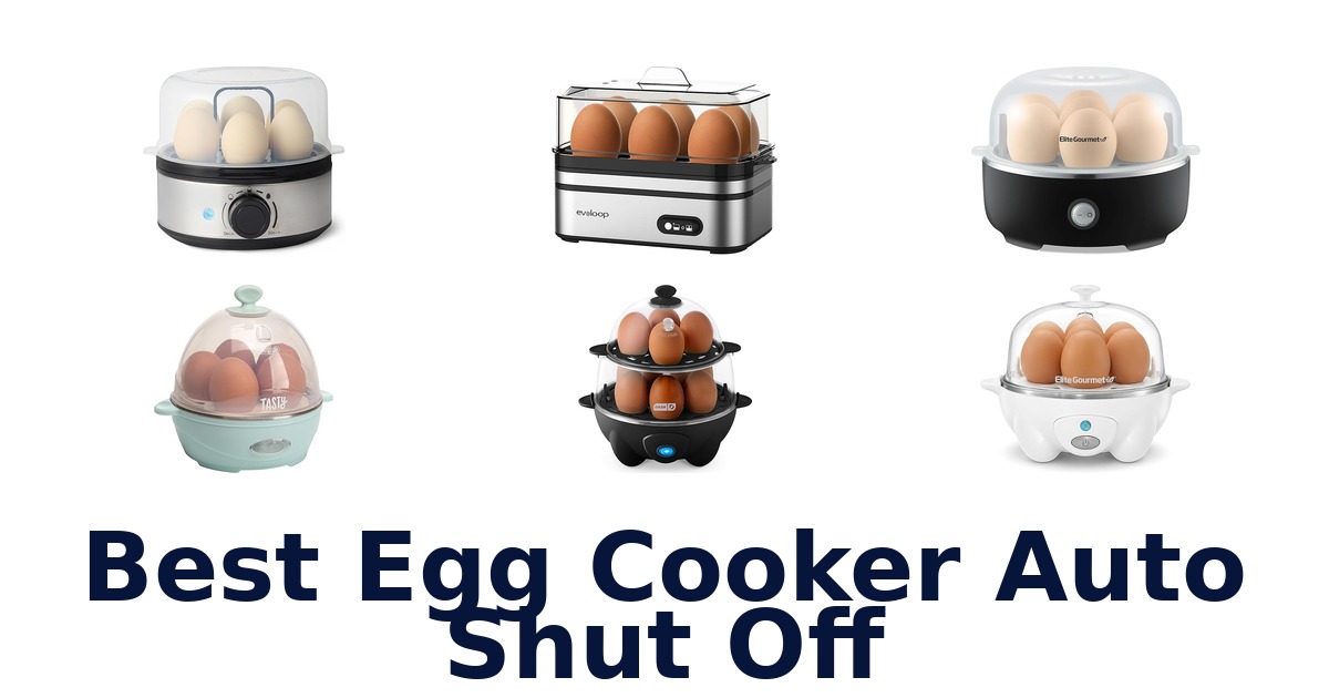 best egg cooker auto shut off