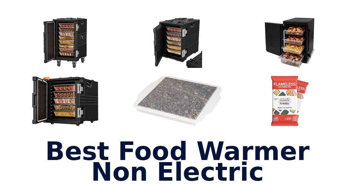 best food warmer non electric