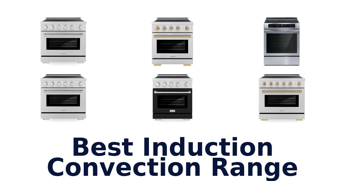 BEST Induction Convection Ranges: Top 10 Picks!