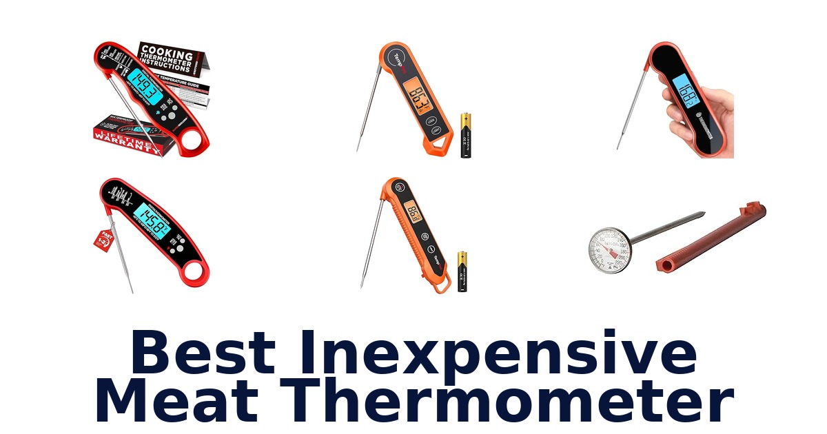 best inexpensive meat thermometer