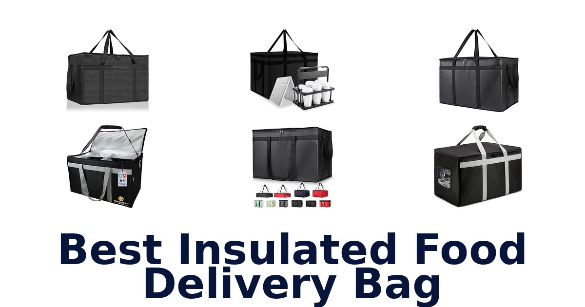 best insulated food delivery bag