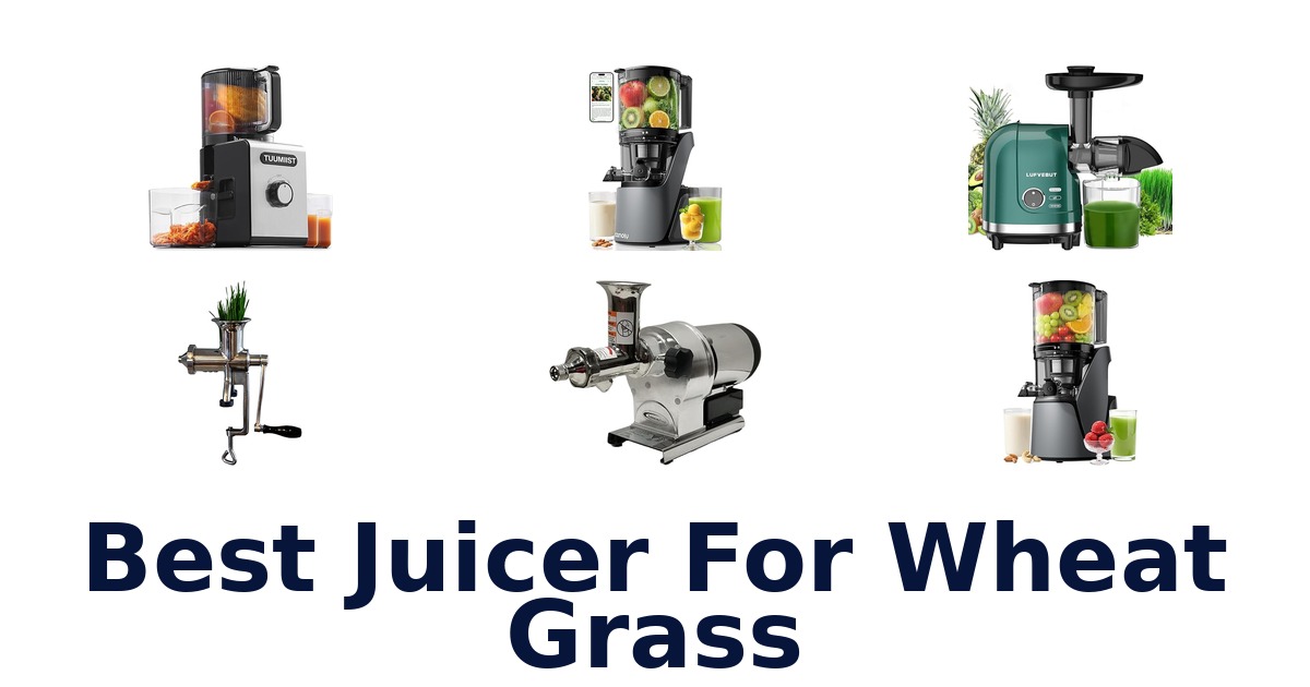 best juicer for wheat grass