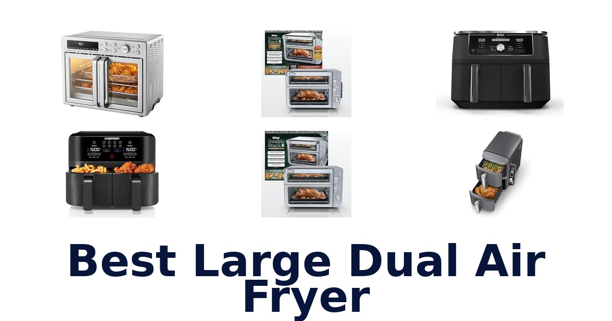 best large dual air fryer